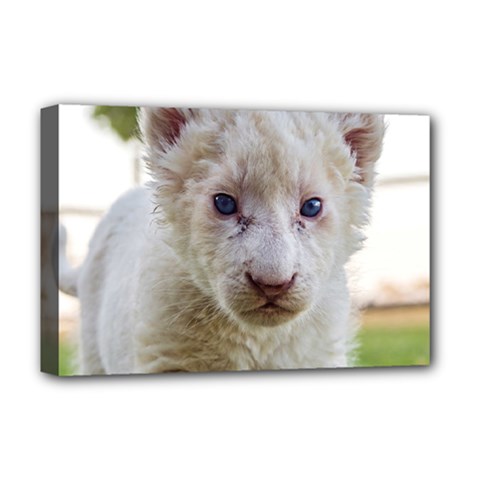 White Lion Cub Deluxe Canvas 18  X 12   by trendistuff