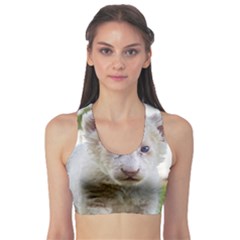 White Lion Cub Sports Bra by trendistuff