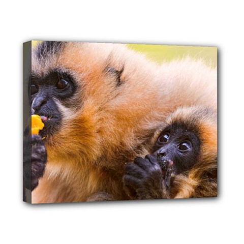 Two Monkeys Canvas 10  X 8  by trendistuff