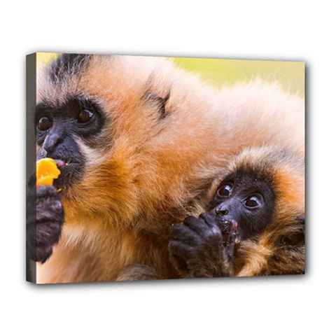 Two Monkeys Canvas 14  X 11  by trendistuff