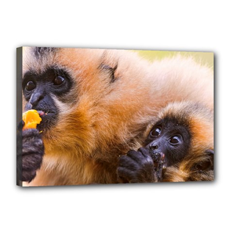 Two Monkeys Canvas 18  X 12  by trendistuff