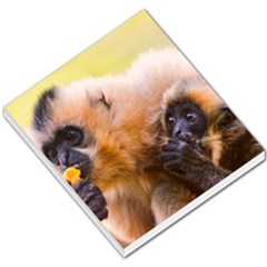 Two Monkeys Small Memo Pads by trendistuff