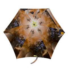 Two Monkeys Mini Folding Umbrellas by trendistuff