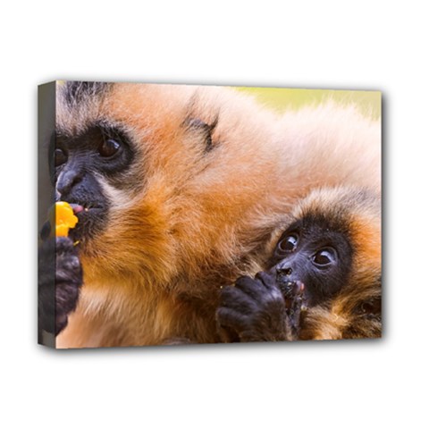 Two Monkeys Deluxe Canvas 16  X 12   by trendistuff