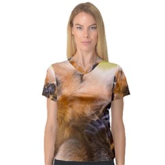 Two Monkeys Women s V-neck Sport Mesh Tee