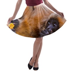 Two Monkeys A-line Skater Skirt