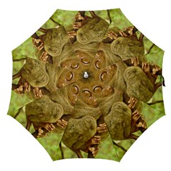 Tarsier Straight Umbrellas