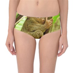 Tarsier Mid-waist Bikini Bottoms