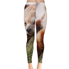 Red Panda Women s Leggings by trendistuff