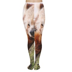 Red Panda Women s Tights by trendistuff