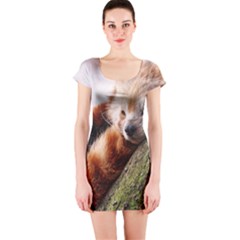 Red Panda Short Sleeve Bodycon Dresses