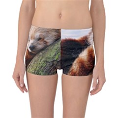 Red Panda Reversible Boyleg Bikini Bottoms