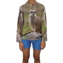 Meerkat Kid s Long Sleeve Swimwear