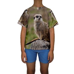 Meerkat Kid s Short Sleeve Swimwear