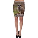 MEERKAT Bodycon Skirts View1