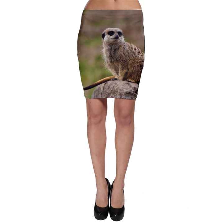 MEERKAT Bodycon Skirts