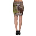 MEERKAT Bodycon Skirts View2