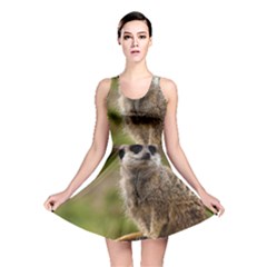 Meerkat Reversible Skater Dresses