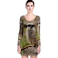 Meerkat Long Sleeve Bodycon Dresses