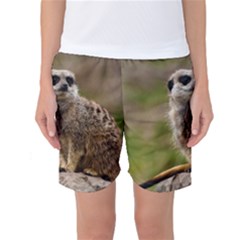 Meerkat Women s Basketball Shorts