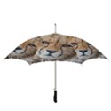 LEOPARD LAYING DOWN Straight Umbrellas View3