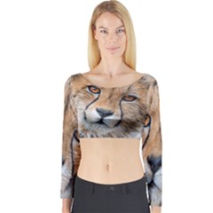 Leopard Laying Down Long Sleeve Crop Top