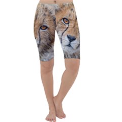 Leopard Laying Down Cropped Leggings