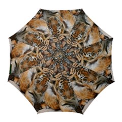 Baby Tigers Golf Umbrellas