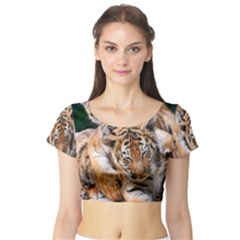 Baby Tigers Short Sleeve Crop Top