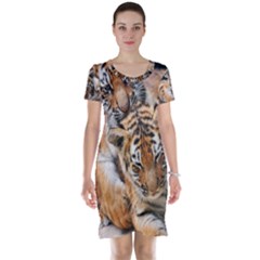 Baby Tigers Short Sleeve Nightdresses