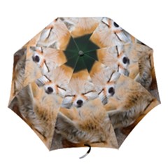 Baby Fox Sleeping Folding Umbrellas