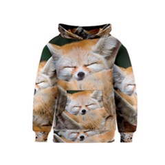 Baby Fox Sleeping Kid s Pullover Hoodies by trendistuff