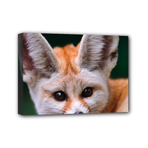 Baby Fox Mini Canvas 7  X 5  by trendistuff