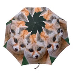 Baby Fox Folding Umbrellas