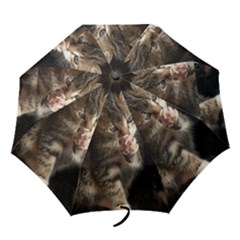 Talk To The Paw Folding Umbrellas