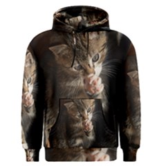 Talk To The Paw Men s Pullover Hoodies by trendistuff