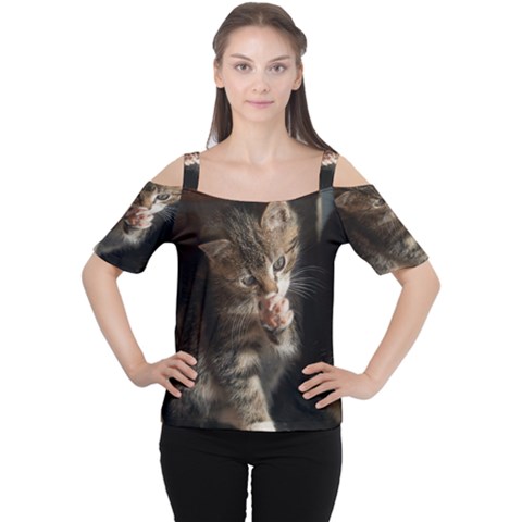 Talk To The Paw Women s Cutout Shoulder Tee by trendistuff