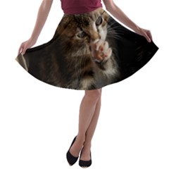 Talk To The Paw A-line Skater Skirt