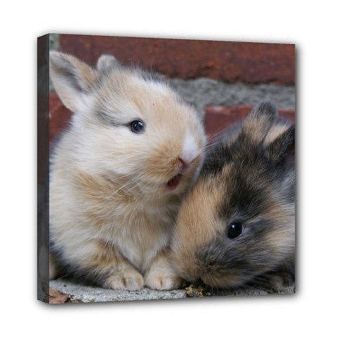 Small Baby Rabbits Mini Canvas 8  X 8  by trendistuff