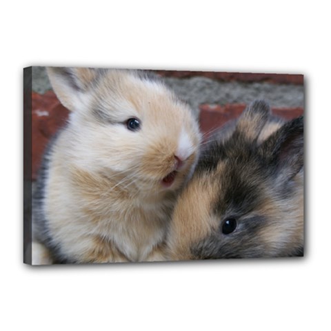 Small Baby Rabbits Canvas 18  X 12  by trendistuff