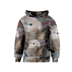 Small Baby Rabbits Kid s Pullover Hoodies by trendistuff