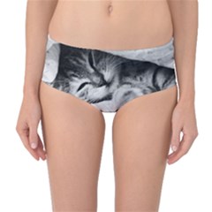 Sleepy Kitty Mid-waist Bikini Bottoms