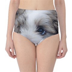 Sad Puppy High-waist Bikini Bottoms