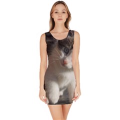 Questioning Kitty Bodycon Dresses by trendistuff