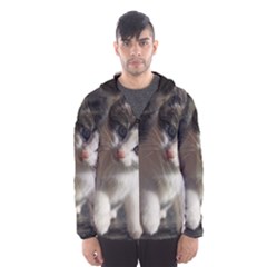 Questioning Kitty Hooded Wind Breaker (men) by trendistuff