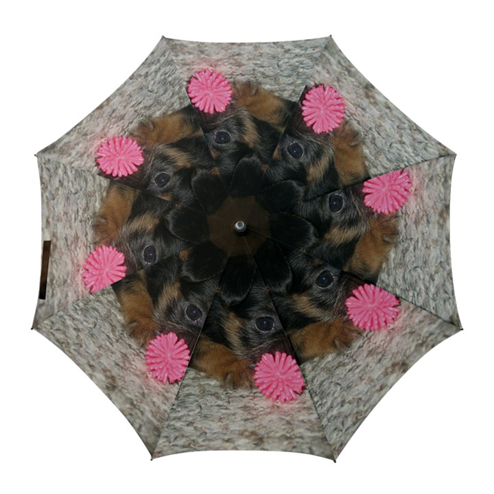 PUPPY WITH A CHEW TOY Golf Umbrellas