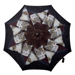 Kitty Twins Hook Handle Umbrellas (small)