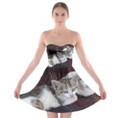 Kitty Twins Strapless Bra Top Dress