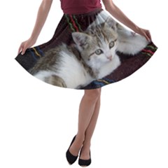 Kitty Twins A-line Skater Skirt by trendistuff