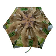 Cute Wrinkly Puppy Mini Folding Umbrellas by trendistuff